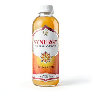 Kombucha Ginger Drink by GTs Living Foods-0