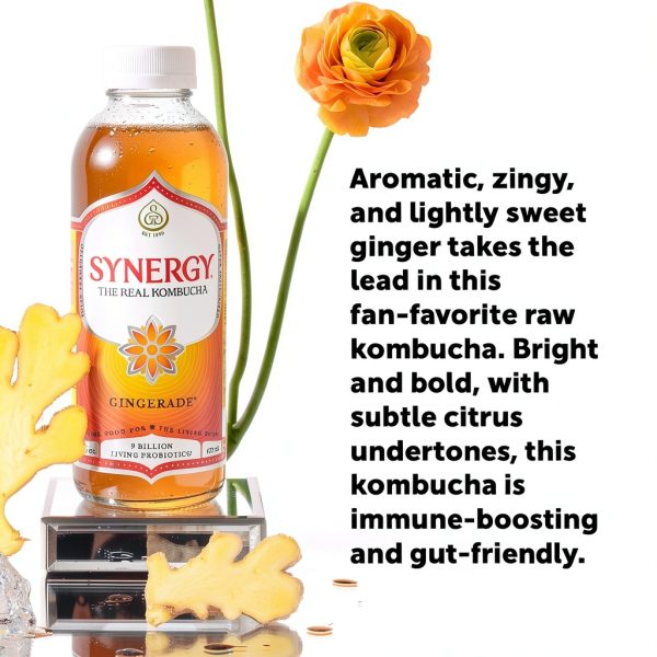 Kombucha Ginger Drink by GTs Living Foods-2