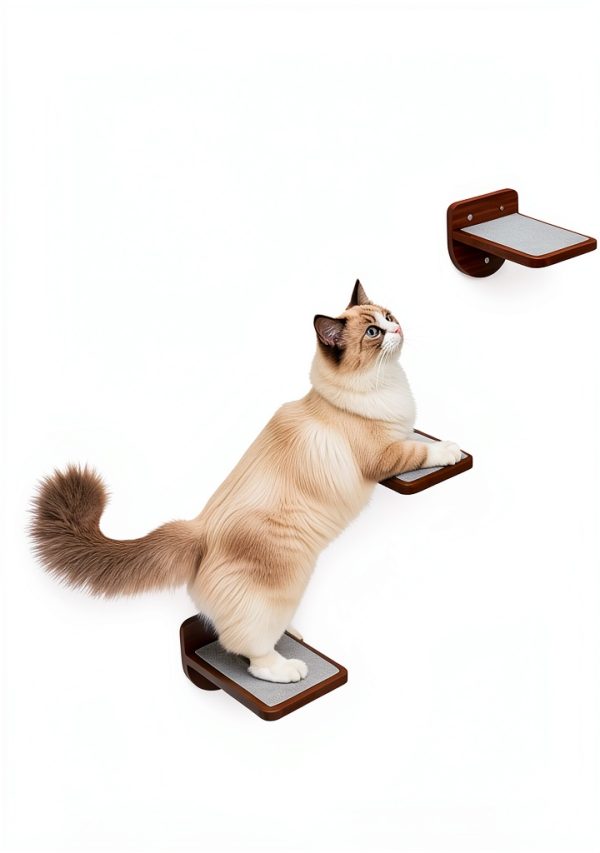 Cat Wall Shelves PurrHouse 45LBS Shelf with Cushion and 3 Steps –-3