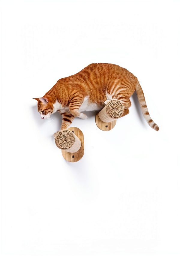 2-Pack Cat Wall Steps - Wooden Cat Shelves for Wall Mounting, Wall Shelves and Perches for Kittens & Adult Cats - Wall Furniture Set with Jute Rope for Scratching, Kneading, Climbing.-2