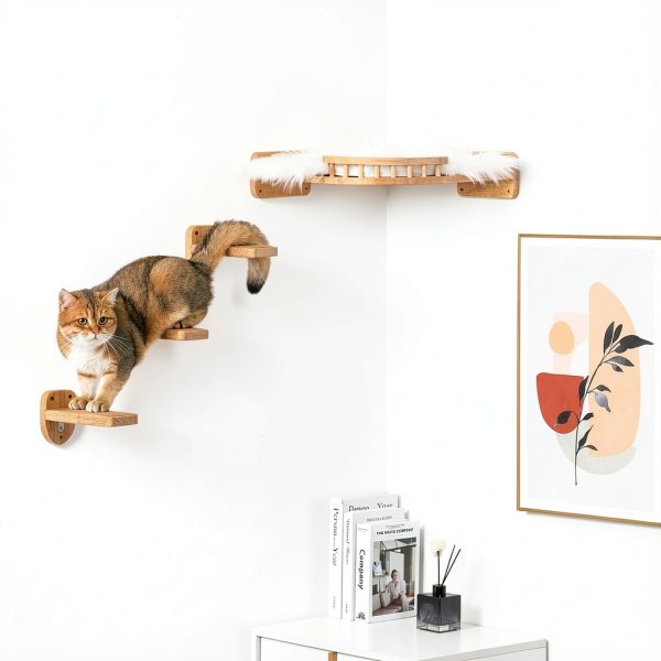 Cat Wall Steps Ladder by Coolex with Hemp Rope Shelves Standard Wood-5