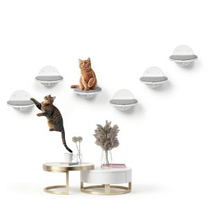Cat Wall Shelves Furniture Set of 6, Wooden Cat Steps for with Scratching Pad, Sturdy Floating Climber Ladder Stairs, Cats Climbing Wall Systems for Cats Sleep Climb Play (White)-1