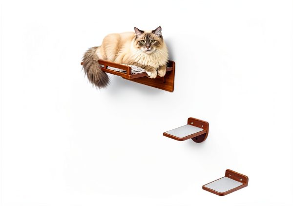 Cat Wall Shelves PurrHouse 45LBS Shelf with Cushion and 3 Steps –-5